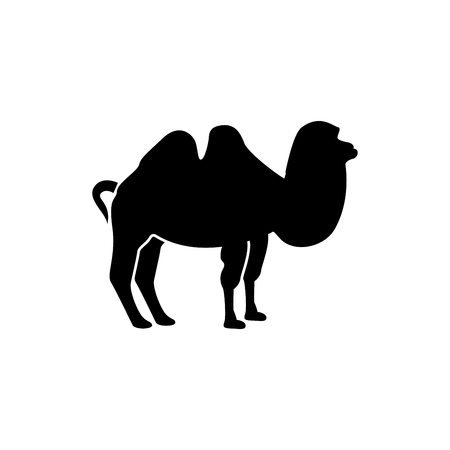 Camelのイラスト素材