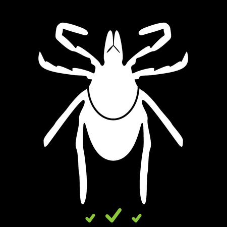 Tick it is white icon . Flat styleのイラスト素材