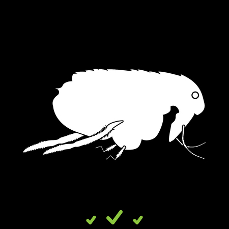Flea it is white icon . Flat styleのイラスト素材