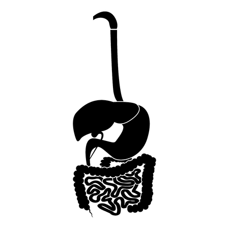 Digestive system icon black color vector illustration flat style simple imageのイラスト素材