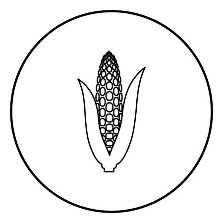 Maize icon black color in circle round outlineのイラスト素材