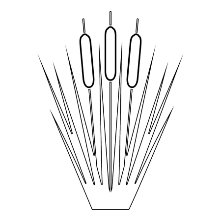 Reed Bulrush Reeds Club-rush ling Cane rush icon black color outline vector illustration flat style simple imageのイラスト素材