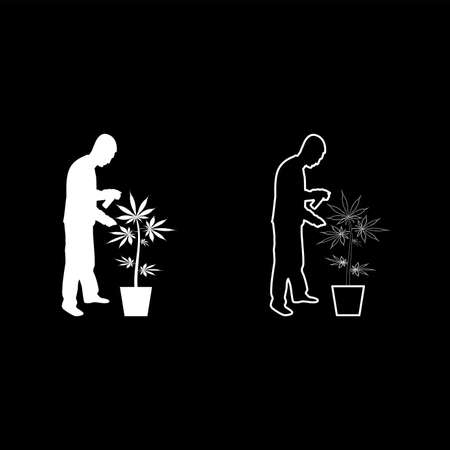 Man caring for marijuana plant in pot Water spraying using hand sprinkler Watering Gardening harvesting concept at home silhouette white color vector illustration solid outline style simple imageのイラスト素材