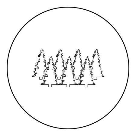 Fir tree Christmas Coniferous Spruce Pine forest Evergreen woods Conifer  silhouette in circle round black color vector illustration contour outline style image simple imageのイラスト素材