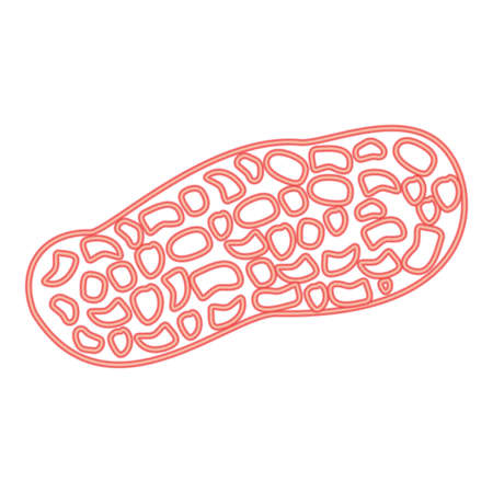 Neon peanut red color vector illustration flat style light image