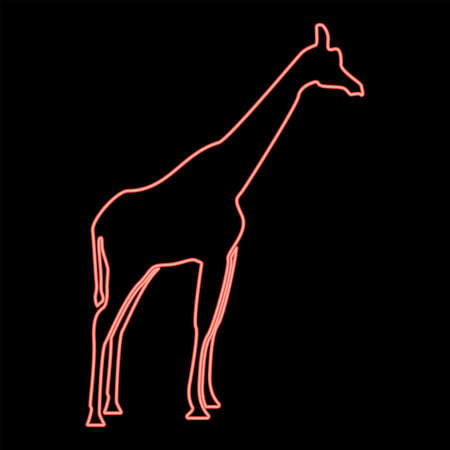 Neon giraffe red color vector illustration flat style light imageのイラスト素材