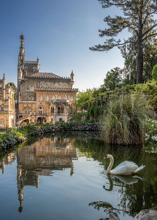 Portugal Bussaco . Royal hunting castle. A fine example of Manueline .At the moment, this is one of the best hotels in Portugal. Pond with swans .のeditorial素材