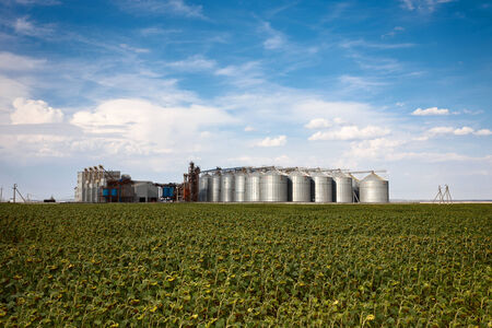 Factory vegetable oils on sunflower field with blue sky in Russiaの写真素材