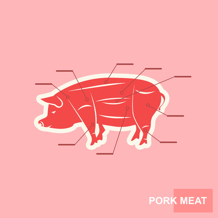 Poster Cut of pork meat set. Butcher diagram pig silhouette. Gentle stylized poster for groceries, meat stores, butcher shop, farmer market. Vintage typographic Vector illustrationのイラスト素材