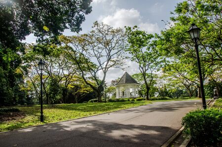 beautiful Nongnuch tropical  garden in Pattaya, Thailandの写真素材