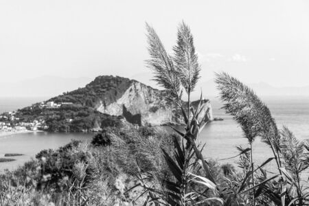 islandの写真素材