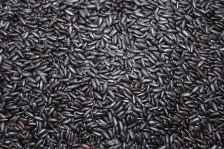 Close up background view of organic black purple rice.の写真素材