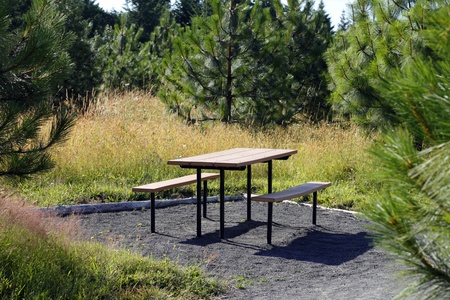 Picnic table with benches in a private area off the main walking trail surrounded by evergreen trees...