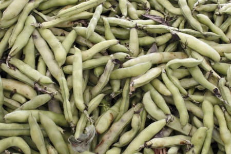 Large amount of green fava bean pods for sale in a display at an outdoor market の写真素材