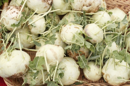 Close up of about two dozen green kohlrabi vegetables in a basket at an outdoor market 