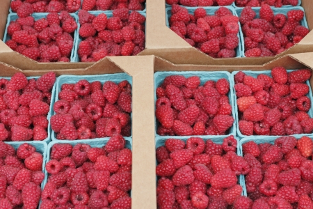 Multiple blue pint containers filled with red raspberries and placed in cardboard boxes for sale at...