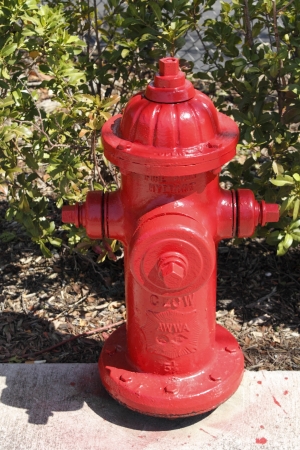 FORT LAUDERDALE, FLORIDA - MARCH 3, 2013  Close-up of a red painted fire hydrant at the edge of a city sidewalk in front of some hedges on a sunny day in Florida のeditorial素材