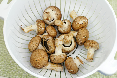 Fourteen crimini mushrooms washed and drying in a white plastic colander on a green placemat. Freshly washed raw crimini mushrooms drying in a colander before cooking.の写真素材