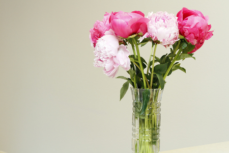 One round cut glass vase with long stem pink and red peony flowers with a light color wall on a beige counter. A beautiful glass vase of pretty peony flowers.の写真素材