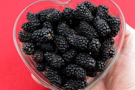 A caucasian hand holding a heart shaped glass dish full of blackberries close-up  in front of a red...