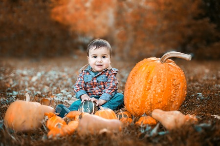 Happy little child holding pumpkin. trick or treat. big pumpkin. autumn harvestの写真素材