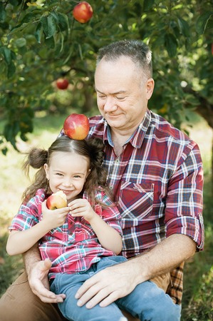 grandfather with granddaughter with Apple in the Apple Orchard. Beautiful Girl Eating Organic Apple in the Orchard. Harvest Concept. Garden, Toddler eating fruits at fall harvest.の写真素材