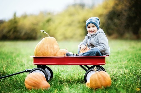 Happy little toddler boy on pumpkin patch on cold autumn day, with a lot of pumpkins for halloween or thanksgiving. Kid on pumpkin field on cold autumn dayの写真素材