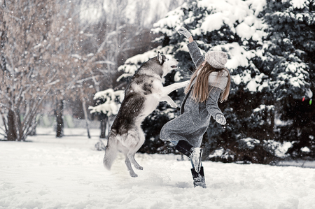 beautiful young girl in a gray coat in winter forest with Siberian Husky. Symbol of new year 2018.の写真素材