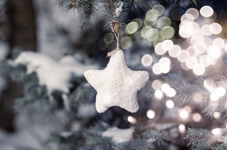 Christmas card. Copy space. Christmas concept. Holiday background. Hand made star on treeの写真素材
