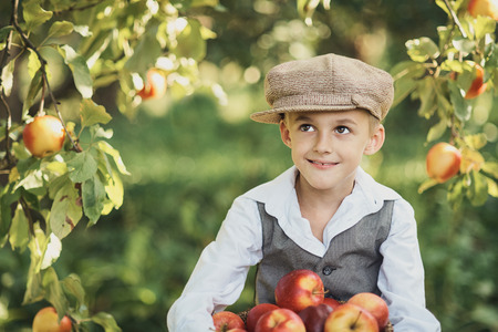 Boy with Apple in the Apple Orchard. Child Eating Organic Apple in the Orchard. Harvest Concept....