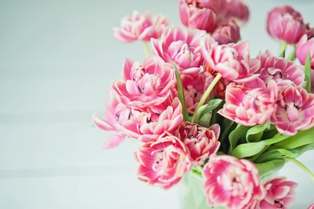 Bouquet of pink tulips. close up of a tender spring bouquet. bridal bouquet of tulips on a light...