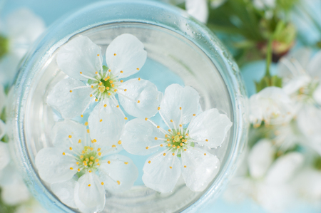Spring blossom, selective focus, shallow DOF, bokeh background, pastel and soft card. macro cherryの写真素材