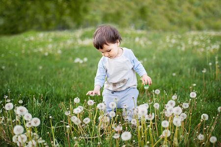 Little boy one year old with dandelion. Spring mood. Happy Kid blowing dandelion outdoor on green in sunny dayの写真素材