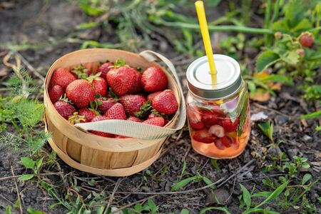 Strawberry and mint infused detox water. strawberry lemonade with ice and mint as summer refreshing drink in jars. Cold soft drinks with fruitの写真素材