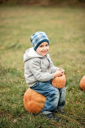 Happy little toddler boy on pumpkin patch on cold autumn day, with a lot of pumpkins for halloween or thanksgiving. Kid on pumpkin field on cold autumn dayの写真素材