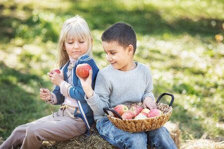 Children with Apple in Apple Orchard. Eating Organic Apple. Harvest Concept. Garden, Boy and girl eating fruits at fall harvest. Apple pickingの写真素材