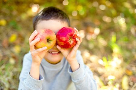 Boy with Apple holding in front of her face in the Apple Orchard. Beautiful Girl Eating Organic Apple in the Orchard. Harvest Concept. Garden, Toddler eating fruits at fall harvest.の写真素材