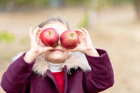 Child picking apples on farm in autumn. Little girl playing in apple tree orchard. Healthy nutrition. Cute little girl eating red delicious apple. Harvest Concept. Apple picking.の写真素材