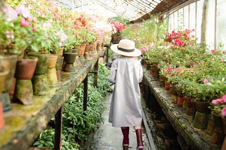 Child planting spring flowers. Little girl gardener plants azalea. Girl holding azalea bush in...