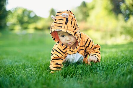 Cute baby boy wearing a tiger costume sitting in grass at parkの写真素材