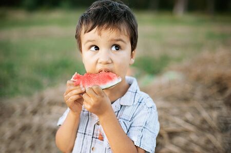 boy eating watermelon. happy child in the field. Summer mood.の写真素材