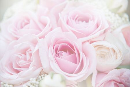 Pink roses background. Unfocused blur rose petals, abstract romance background, pastel and soft flower card. Wedding card, Valentine. classic bride's bouquet. Soft selective focus.の写真素材