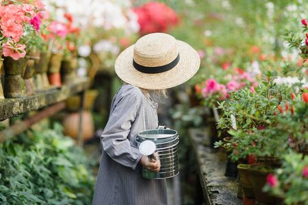 Child planting spring flowers. Little girl gardener plants azalea. Girl holding azalea bush in flower pot. Child taking care of plants. Toddler with flower basket. girl holding pink flowersの写真素材