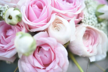 Pink roses background. Unfocused blur rose petals, abstract romance background, pastel and soft flower card. Wedding card, Valentine. classic bride's bouquet. Soft selective focus.の写真素材