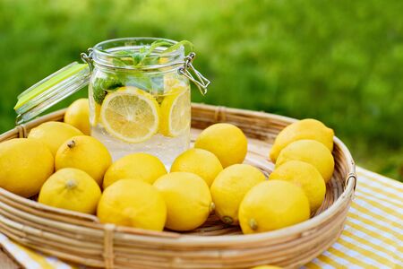 Plate with ripe fresh lemons and lemonade. Vitamins concept. copy space. Strengthening immunity concept. Tropical fruit. Organic citrus fruits for a healthy diet.の写真素材