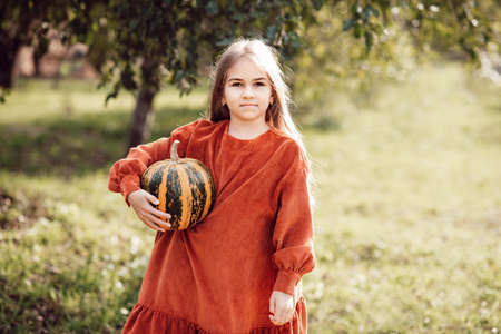 Autumn portrait of child on pumpkin patch on cold autumn day with a lot of pumpkins for halloween or thanksgiving. Child picking pumpkin at farm autumn seasonの写真素材