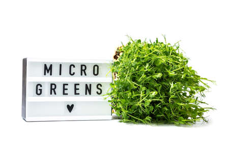 Microgreens isolated on white. micro greens for sale. Vitamins from nature. Vegan and healthy...