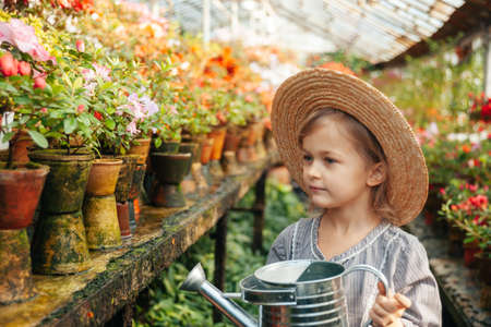 Child planting spring flowers. Little girl gardener plants azalea. Girl holding azalea bush in flower pot. Child taking care of plants. Toddler with flower basket. girl holding pink flowersの写真素材