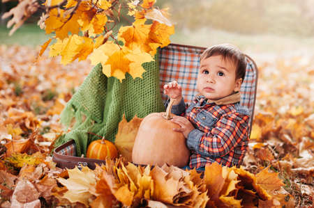 Happy little child holding pumpkin. trick or treat. Funny children. Adorable boy playing in autumn park with sweet autumn decoration. Child celebrating Thanksgiving. Fall season decoration. halloweenの写真素材