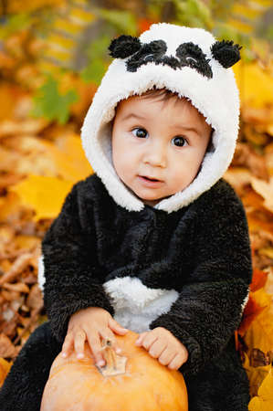 Happy little child in panda costume holding pumpkin. trick or treat. Funny children. Adorable boy...